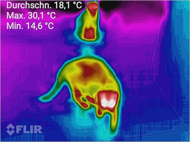 flir 20161110T145312